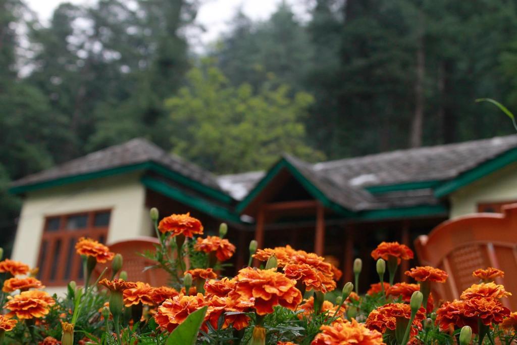 Parvati Kuteer Riverside Resort カソル エクステリア 写真